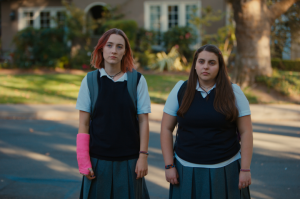 lady bird 6