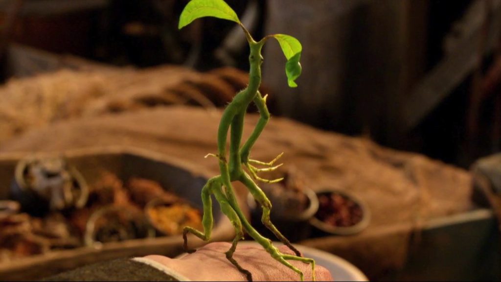 hewan fantastis dalam seri Fantastic Beasts