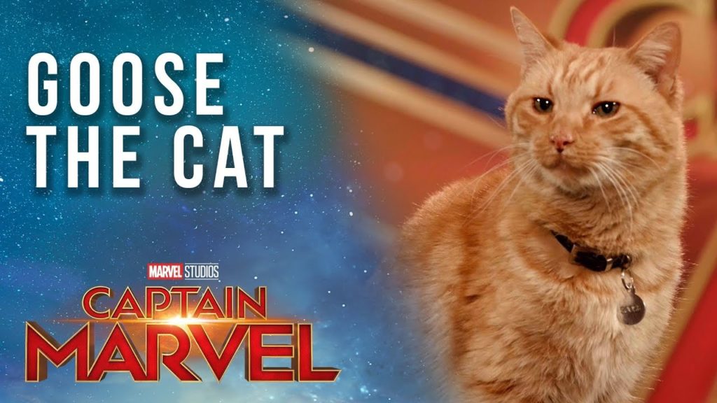 goose kucing captain marvel