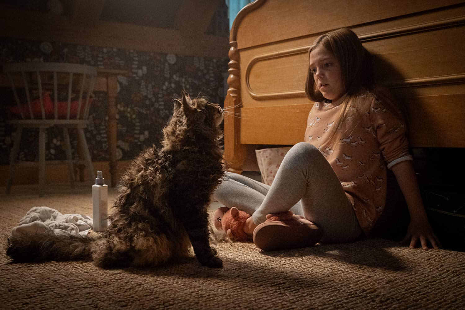 Film Pet Sematary