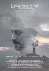 Film November 2019