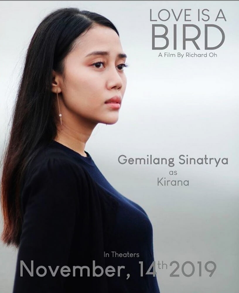 film Love is A Bird