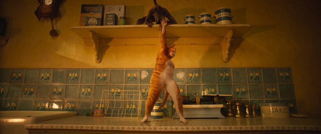 film Cats