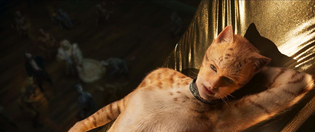 film Cats