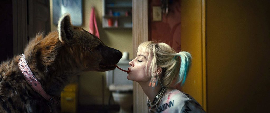 review birds of prey