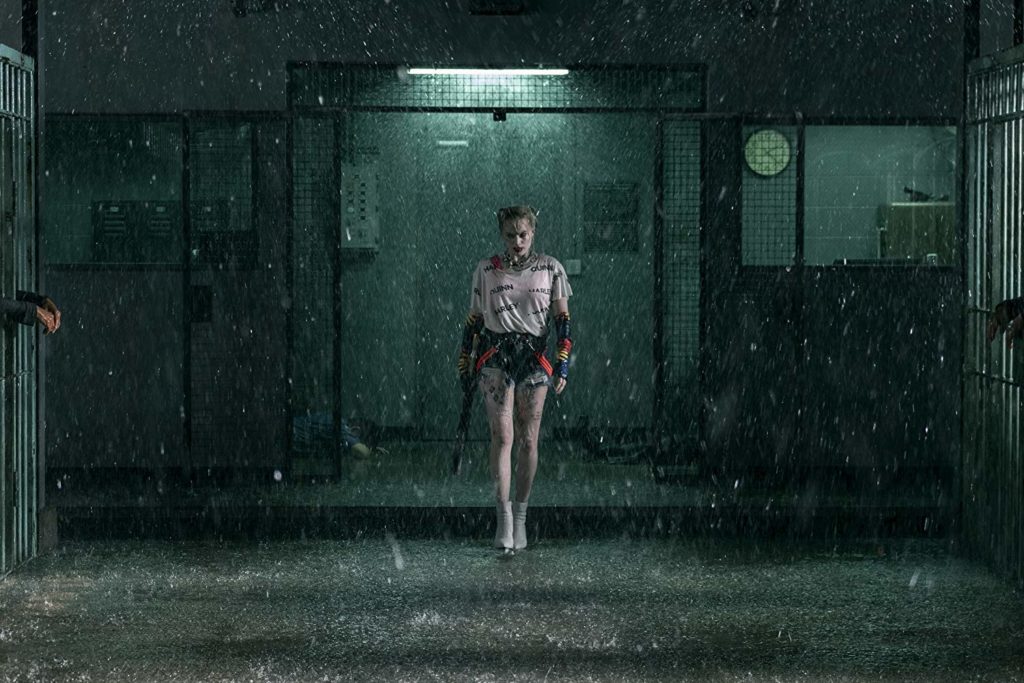review birds of prey