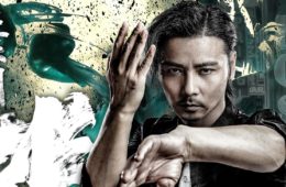ip man legacy film ip man