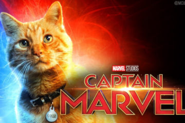 goose kucing captain marvel