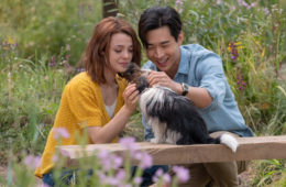 tiket gratis a dog's journey