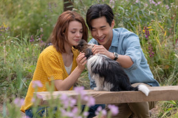 tiket gratis a dog's journey