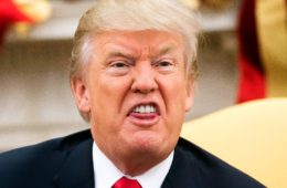 donald trump the hunt