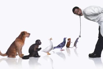 dolittle dari masa ke masa